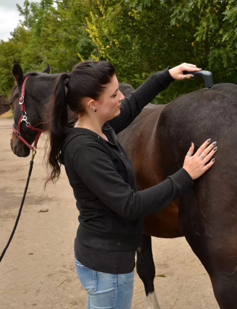 Anwendung des Novafon Schallwellengeräts zur lokalen Vibrationstherapie beim Pferd